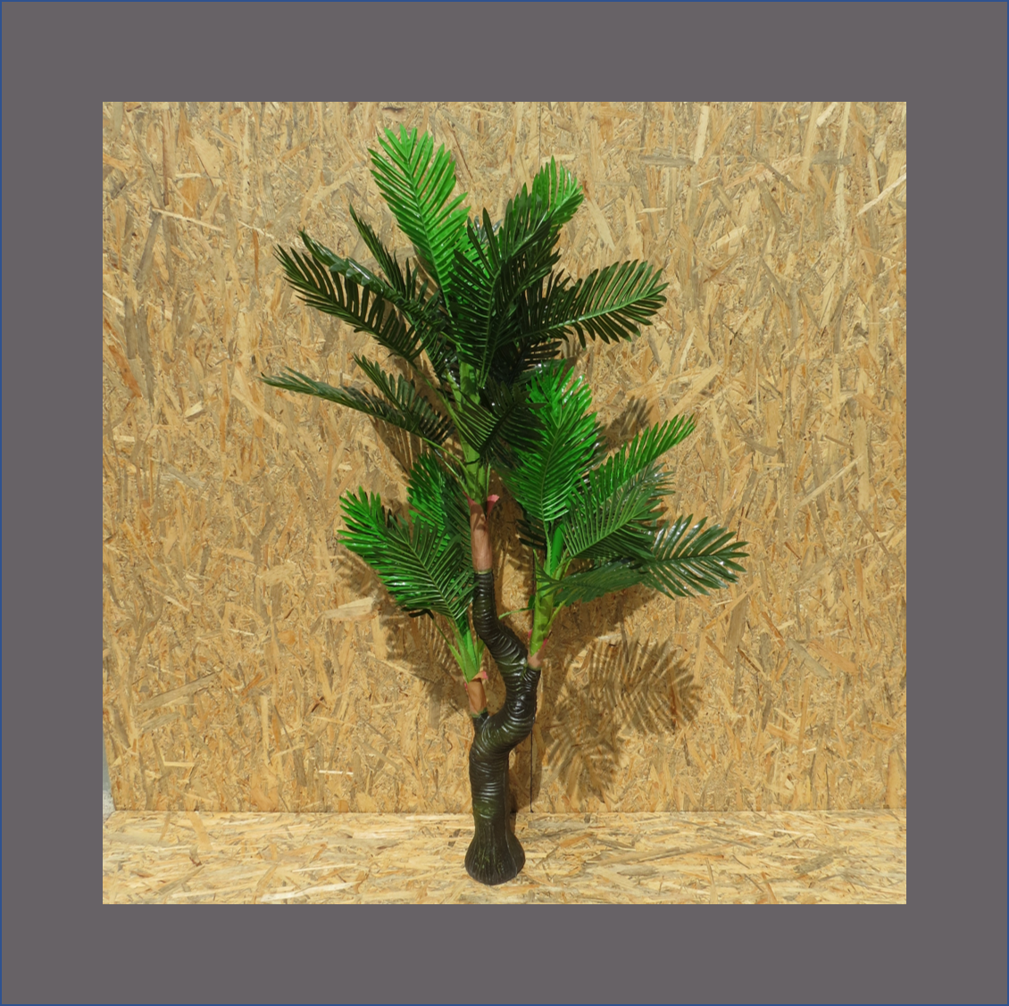 palm-tree